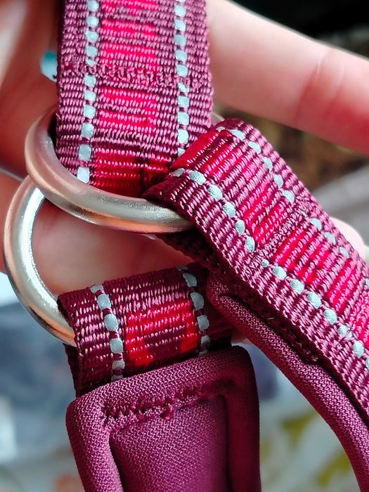 Нашийник світловідбиваючий