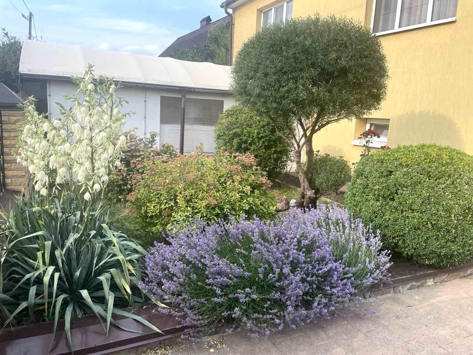 Продаж будинку з терасою, держпрограми - так!