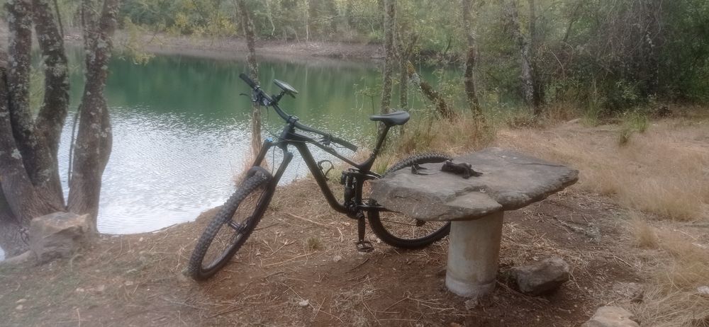 Cube Stereo One 77 pro 29