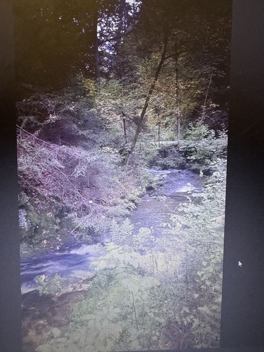 sprzedam działkę  600m Potoczek gmina Międzylesie Nysa Kłodzka