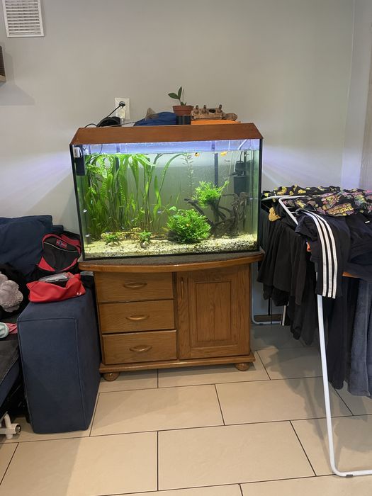 Akwairum 200l z debowa komoda