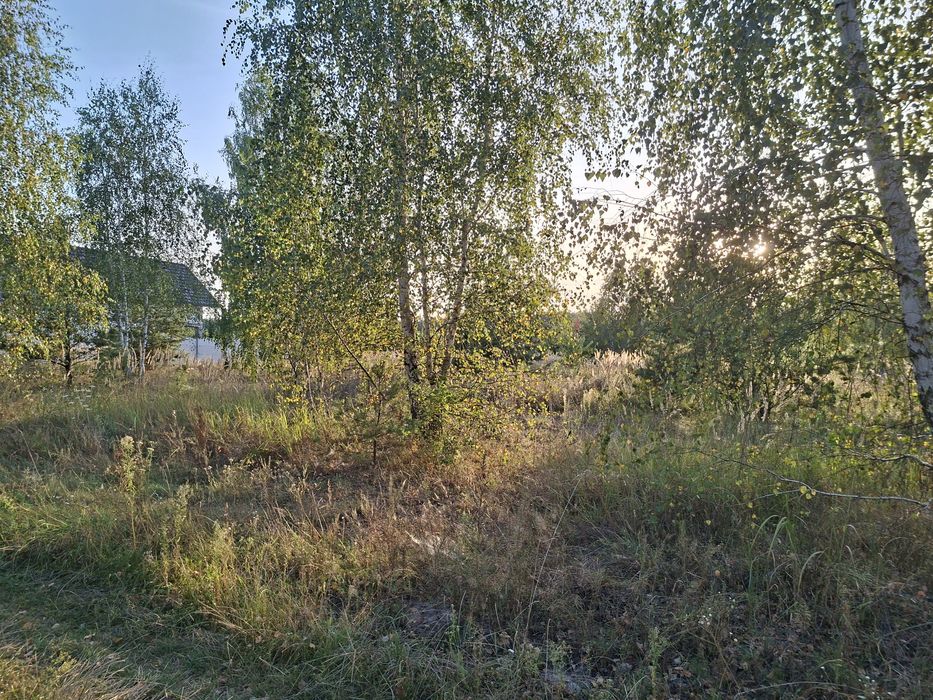 Ділянка 57 соток в класній локації біля лісу