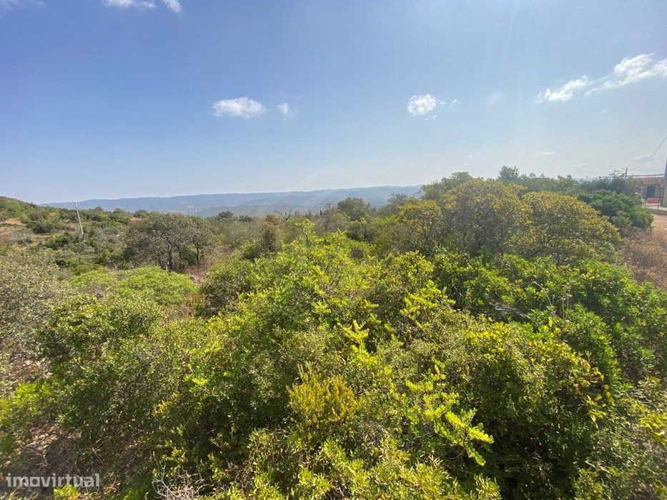 Lote de Terreno Rústico no Serro dos Passarinhos, Loulé, Algarve