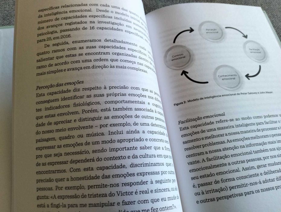 Livro "Intekigência Emocional" Pablo Fernández-Berrocal