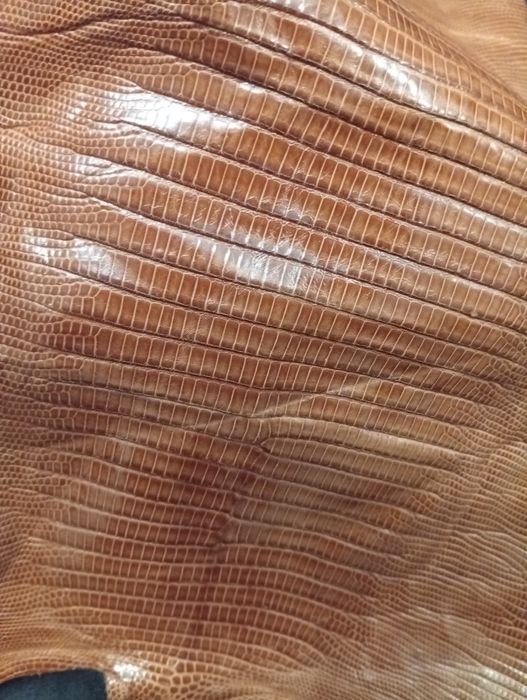 Екзотична шкіра ІГУАНИ