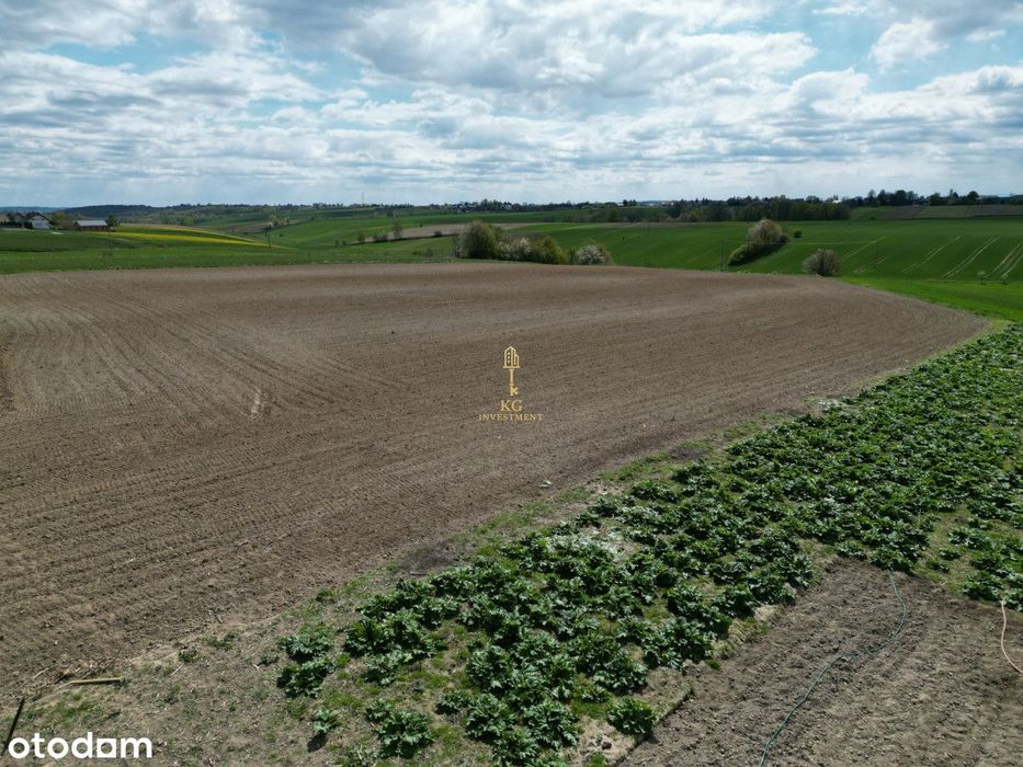 10 arów / Celiny / Cicha widokowa okolica