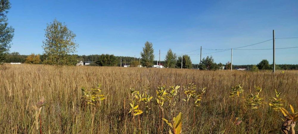 Старі Петрівці, 8 соток для будівництва