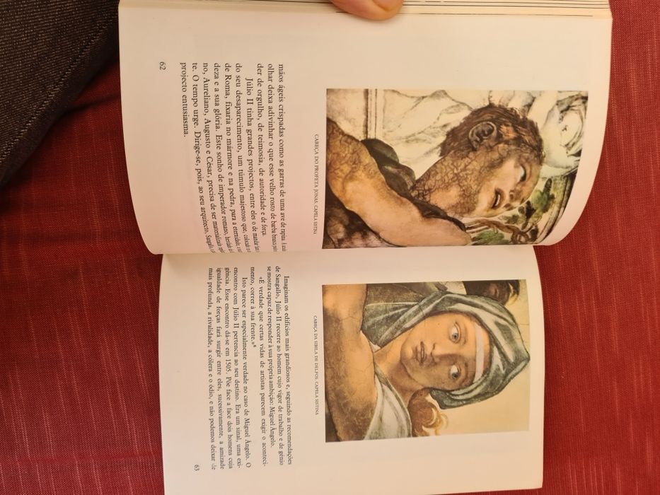 Livro Miguel Ângelo