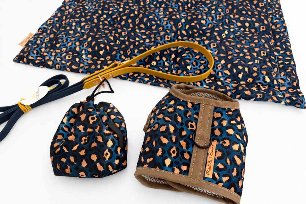 Maltańczyk FCI ZKwP mini do odbioru bogata wyprawka