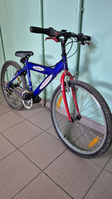 Author Signal  rozm. S  24"