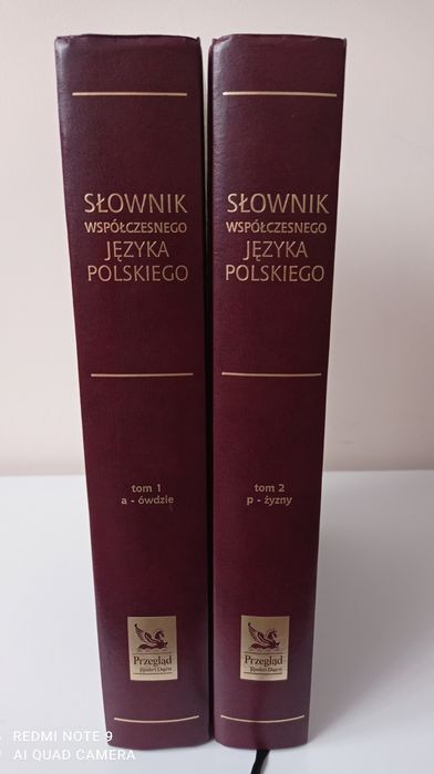 Słownik współczesnego języka polskiego.