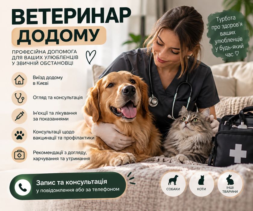 Ветеринар додому Київ | Виклик ветеринара для собак та котів
