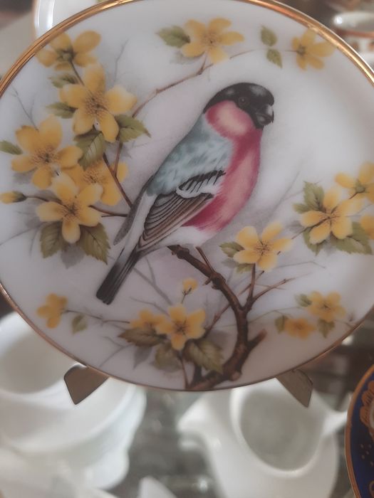 Porcelain Plates434775662778787842