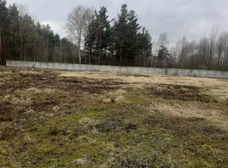 Sprzedam działkę przemysłowo-usługową - Widok 4
