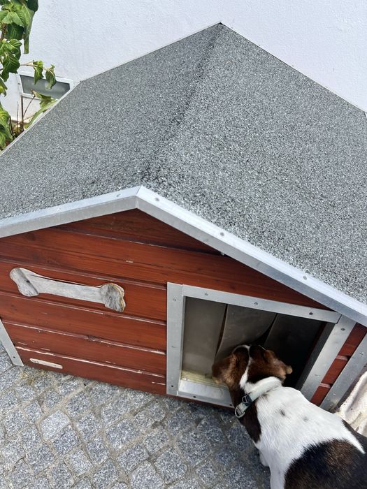 Casota madeira  cão médio