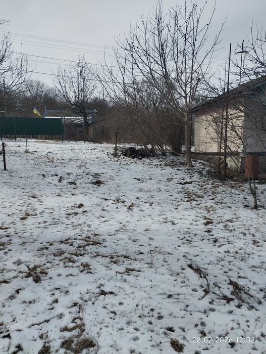 Затишна дача на 7 сотках – ідеальне місце для відпочинку