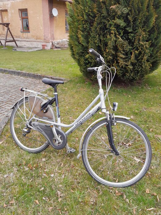 Gazelle przywieziona z Holandii
