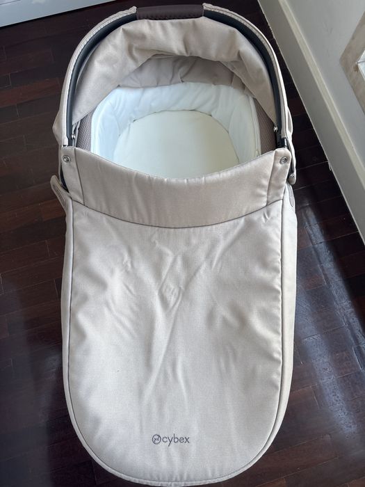 Alcofa cybex Gazelle