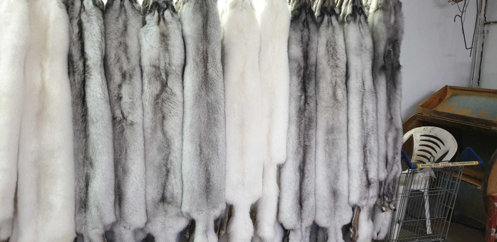 Skóry z lisa i norki