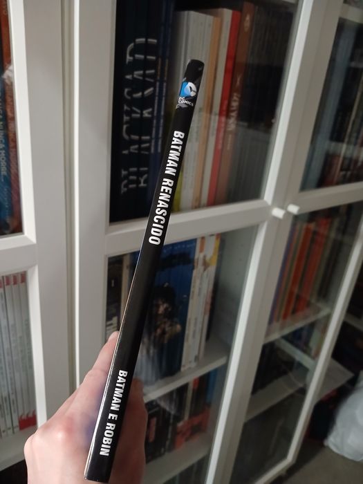 Batman e Robin - Batman renascido