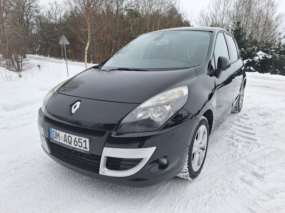 Ładny Scenic lift,  2010 rok, sprowadzony