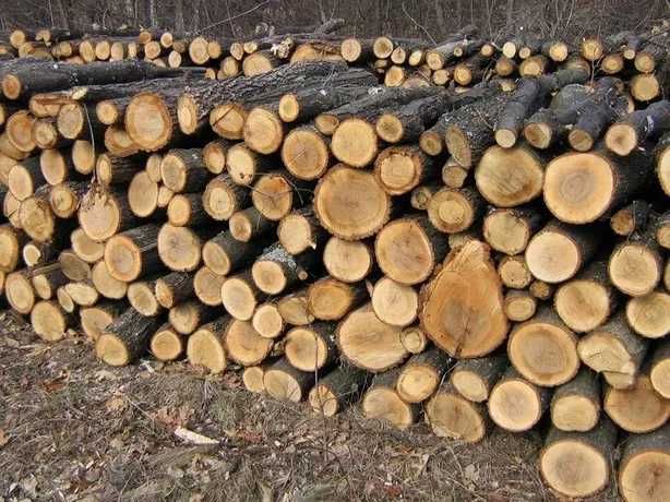 Продам дрова ДУБОВЫЕ и СОСНА