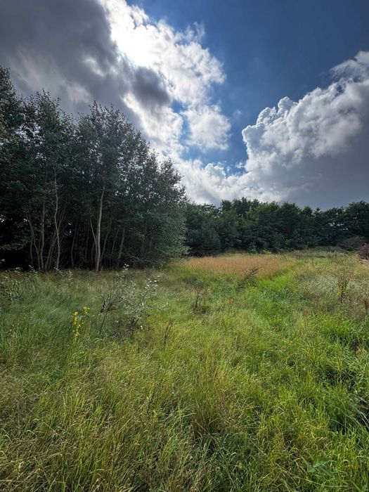 Atrakcyjna działka budowlana Ostrów powiat Słupecki