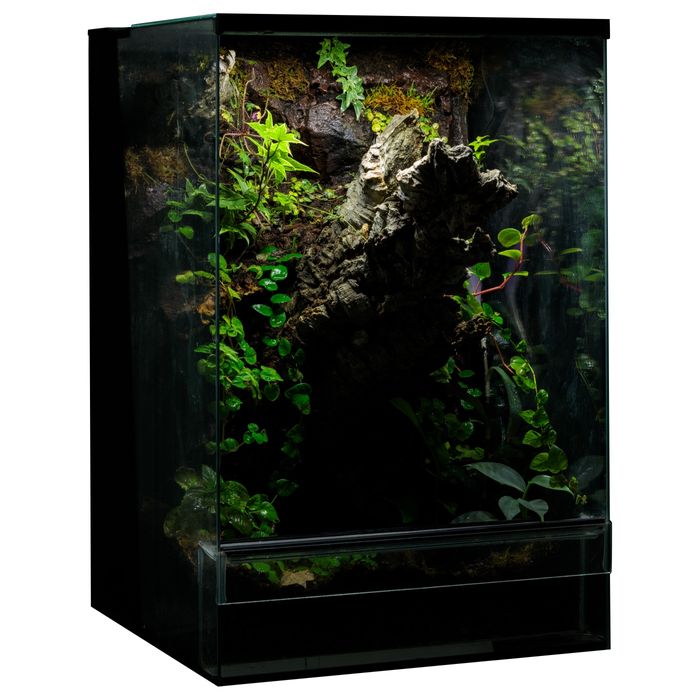 Terrarium tropikalne gekon paludarium 40/40/60