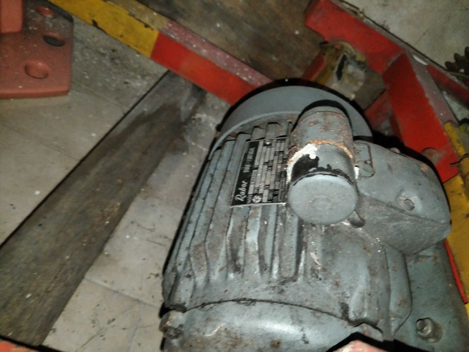 Espremedor eléctrico para uvas