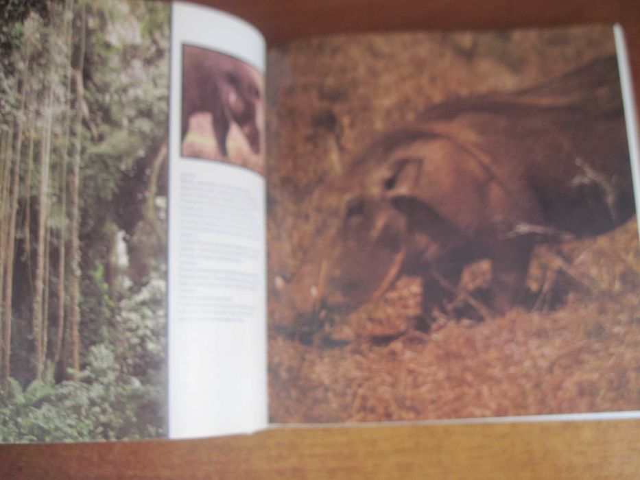 Йосеф Вагнер. Царь зверей не лев. Братислава 1984