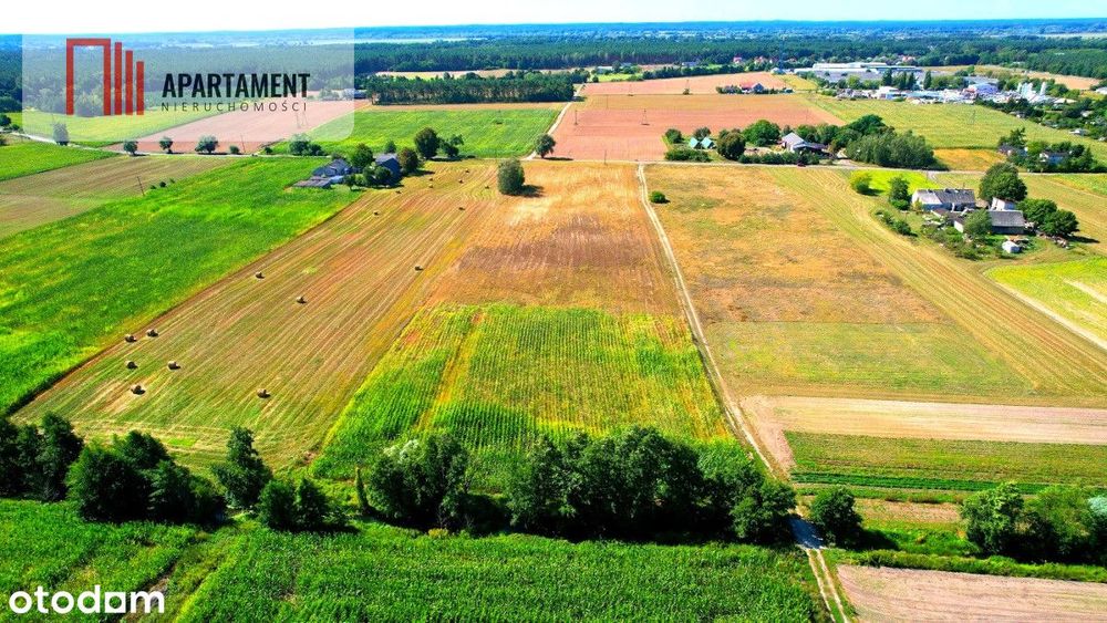 Zławieś Mała 1002 m² Cisza Spokój Super Lokalizacja - Widok 6