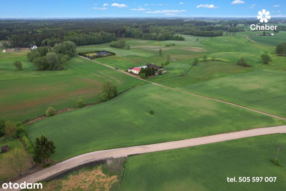 Siedlisko w sąsiedztwie lasów 17 km od Włocławka, dom 100m2