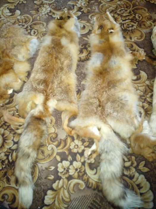 Мех для пошиву.чюлок.