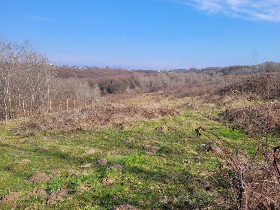 Земельна ділянка