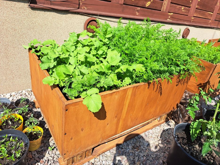 Donica, doniczka, warzywniak, kwietnik, paleta, skrzynia  na warzywa