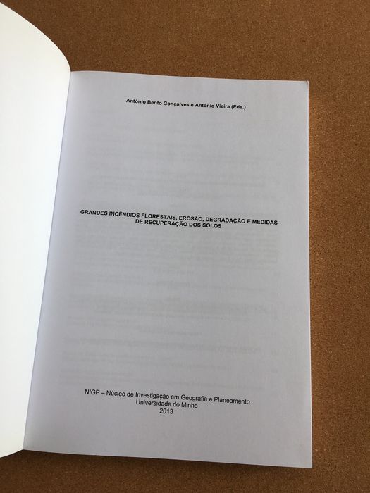 Grandes Incêndios Florestais - NIGP