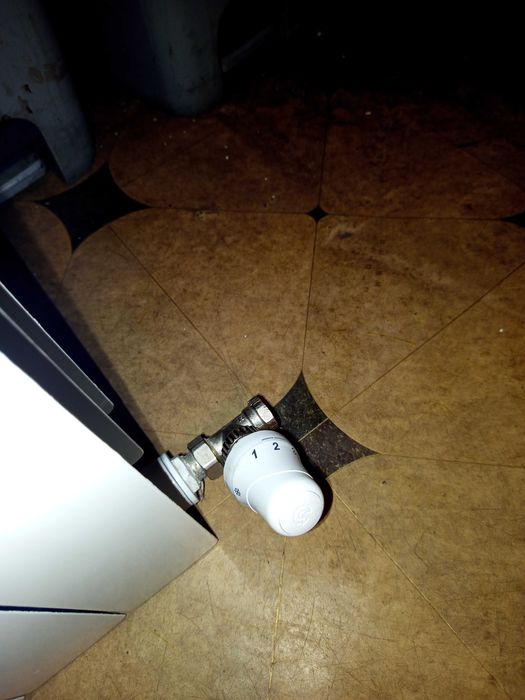 Grzejnik Armatura Kraków, 4 żeberka+ termostat