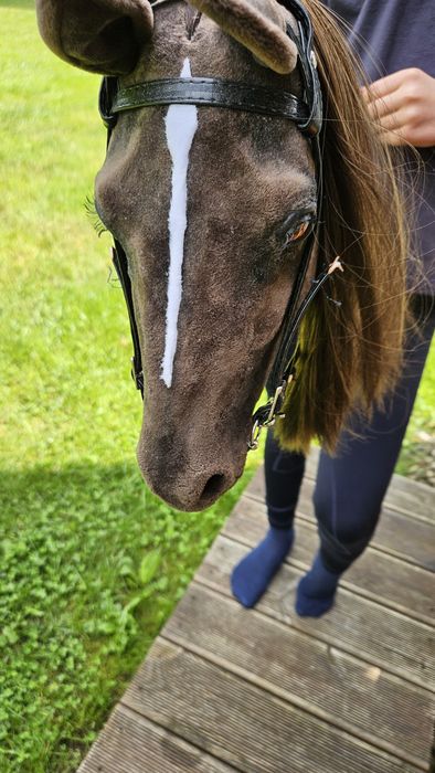 Hobby horse realistic+akcesoria