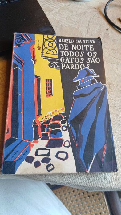 Rebelo da Silva, De noite todos os gatos são pardos