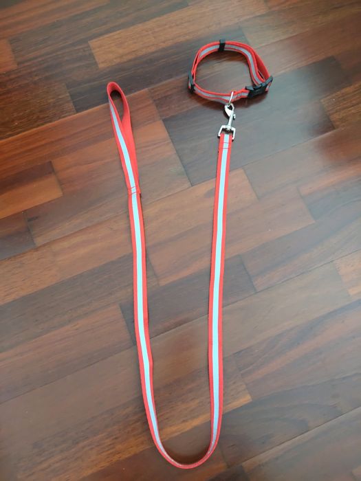 Conjunto Trela e Coleira