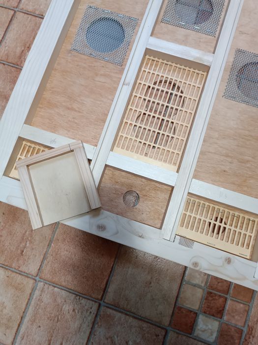 Диафрагма для вывода пчелиных маток