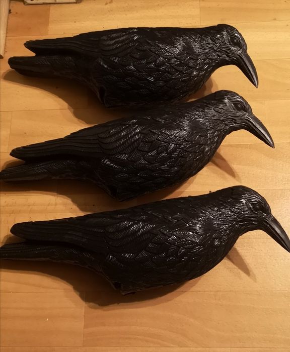 Wrony odstraszacz 3 szt.