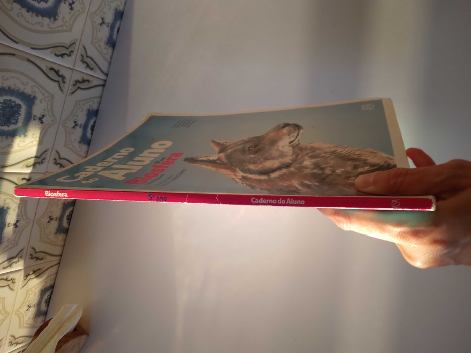 Caderno do aluno Biosfera 6 ano