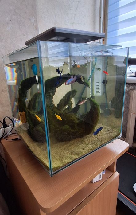 Продам красивий акваріум 30л з рибками та обладнанням!