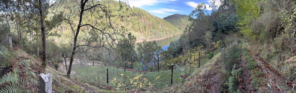 Terreno junto a Barragem de Albufeira da Caniçada, Louredo