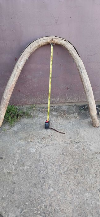 Шлея дуга для коня збруя