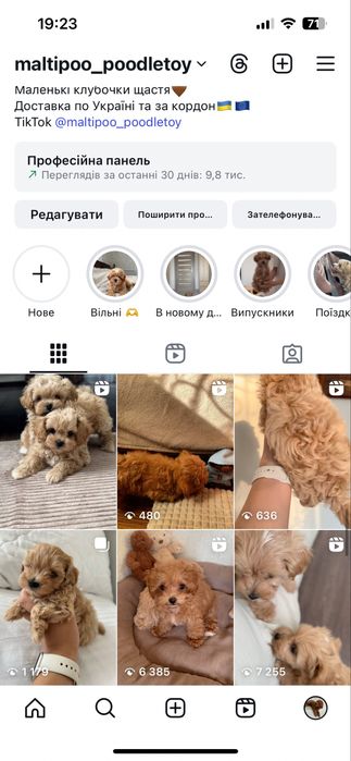 Максимально пухнасті ведвежатка)
