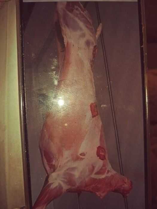 Jagniecina mloda tuszki polecam..