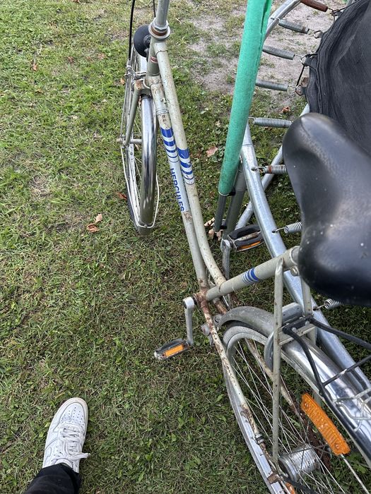 Rower Hercules damka