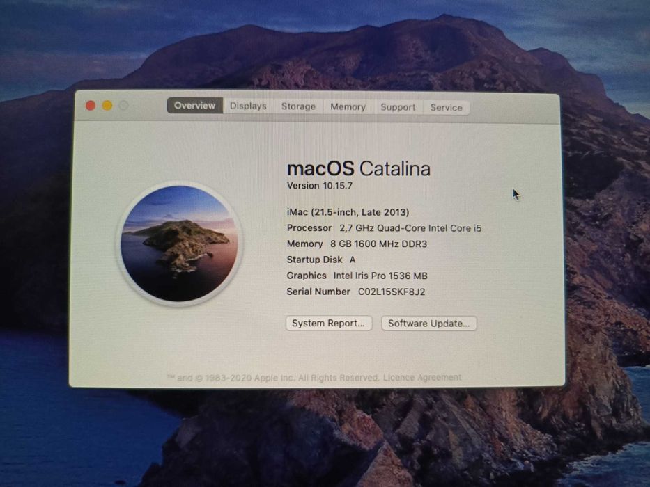 Apple iMac 21,5" 2013 A1418